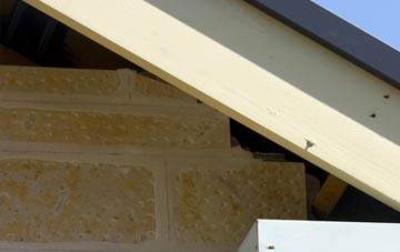 soffit repair Widbrook