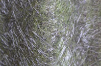 Widbrook fibreglass roof work